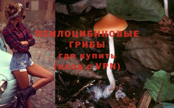 соль курить ск Алексин