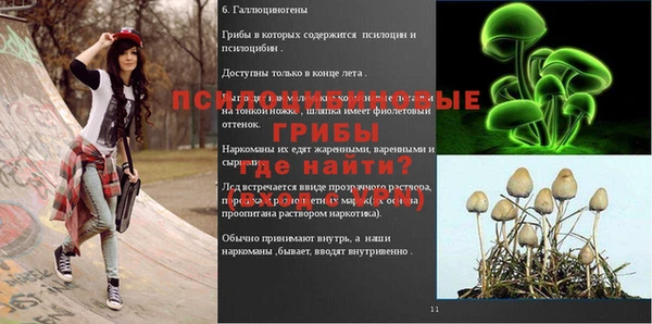 mdpv Алзамай