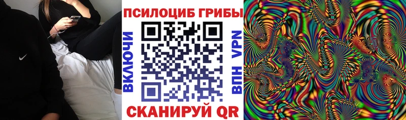 Галлюциногенные грибы мицелий  блэк спрут зеркало  Кыштым 